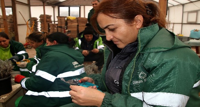 Çankaya’da yeşil alan çalışmaları devam ediyor