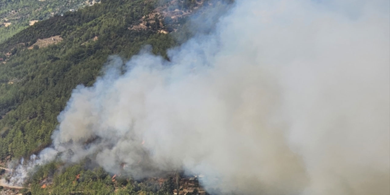 Alanya'da orman yangını: Vatandaşlar tahliye edildi