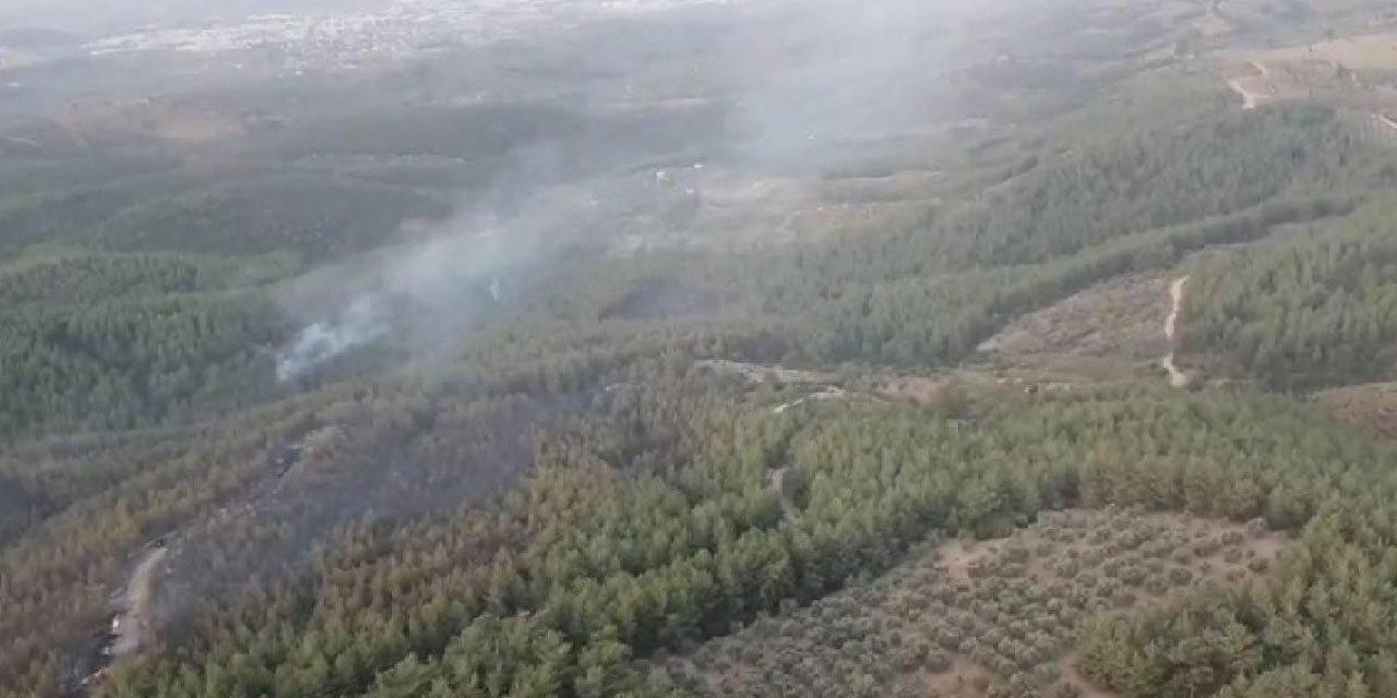 İzmir'de dün gece çıkan orman yangını sürüyor