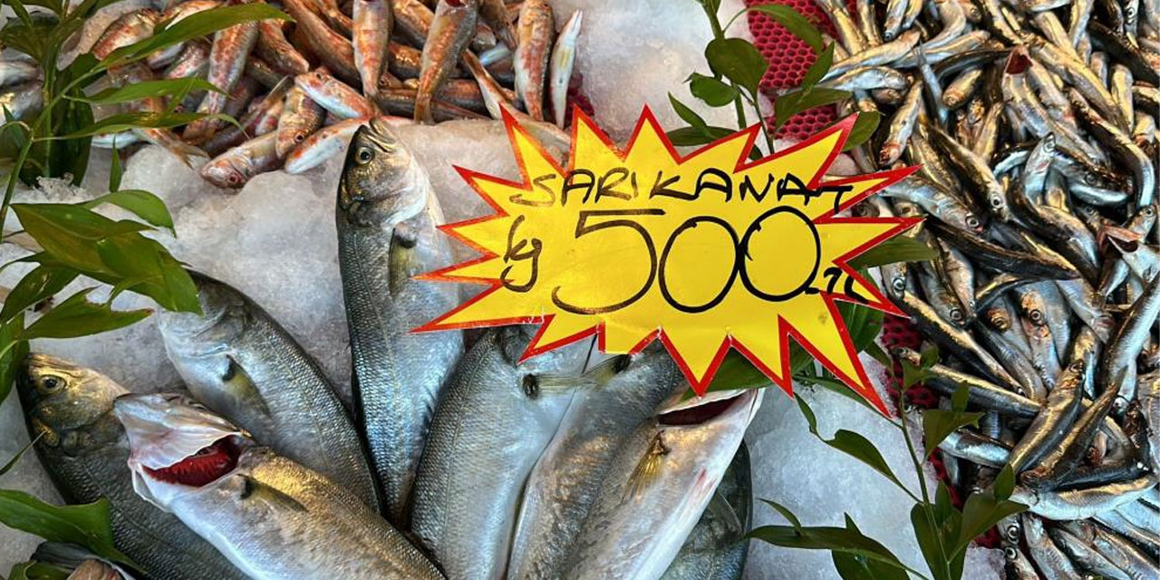 Balık çeşidi azaldı, fiyatlar arttı
