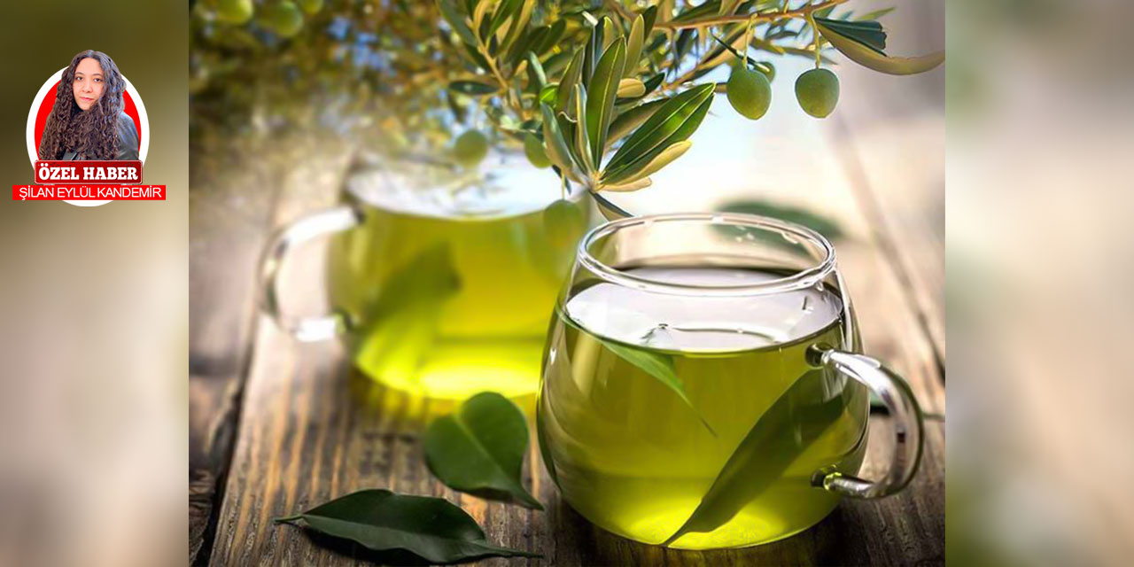 Zeytin yaprağı çayının faydalarını biliyor musunuz?