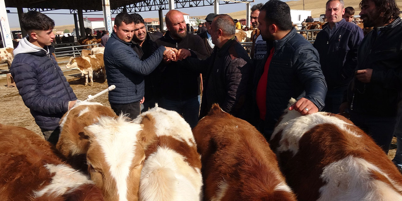 Yozgat’ta canlı hayvan pazarında büyük yoğunluk!