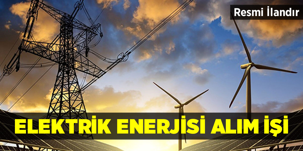 Elektrik enerjisi alım işi