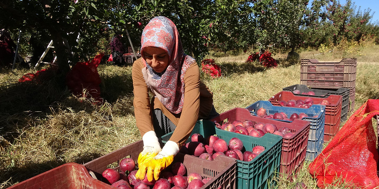 Yozgat'ta işsizliğe can suyu: Tarlalar birleşti!