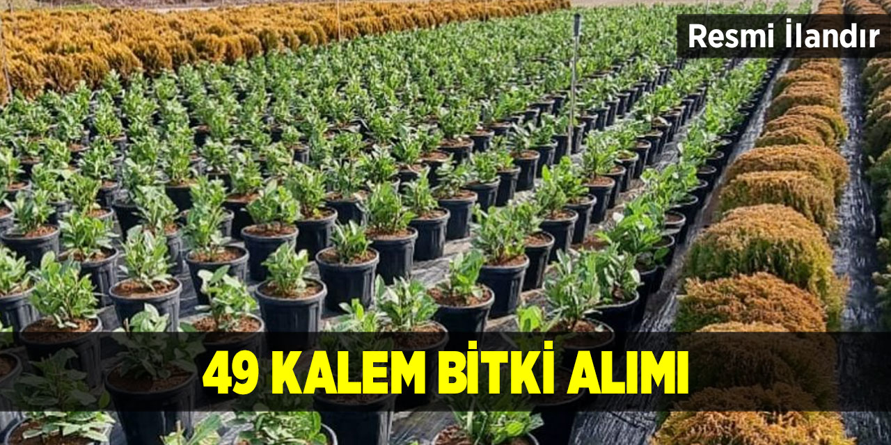 49 kalem bitki alımı