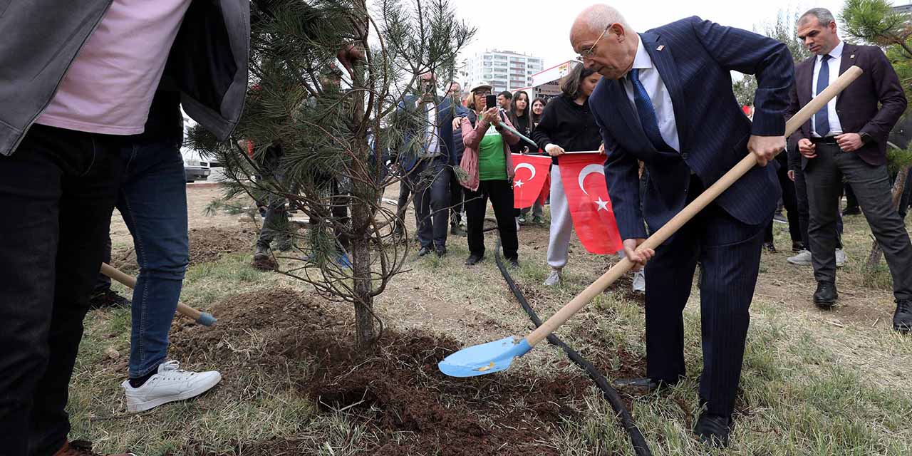 Ankara Yenimahalle'de ağaçlar toprakla buluştu