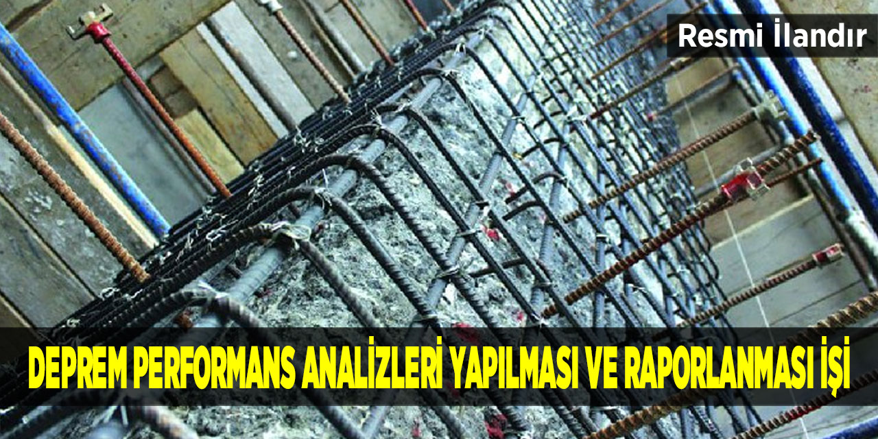 Malatya Merkez Bölge Hastanesi Deprem Performans Analizleri Yapılması Ve Raporlanması İşi