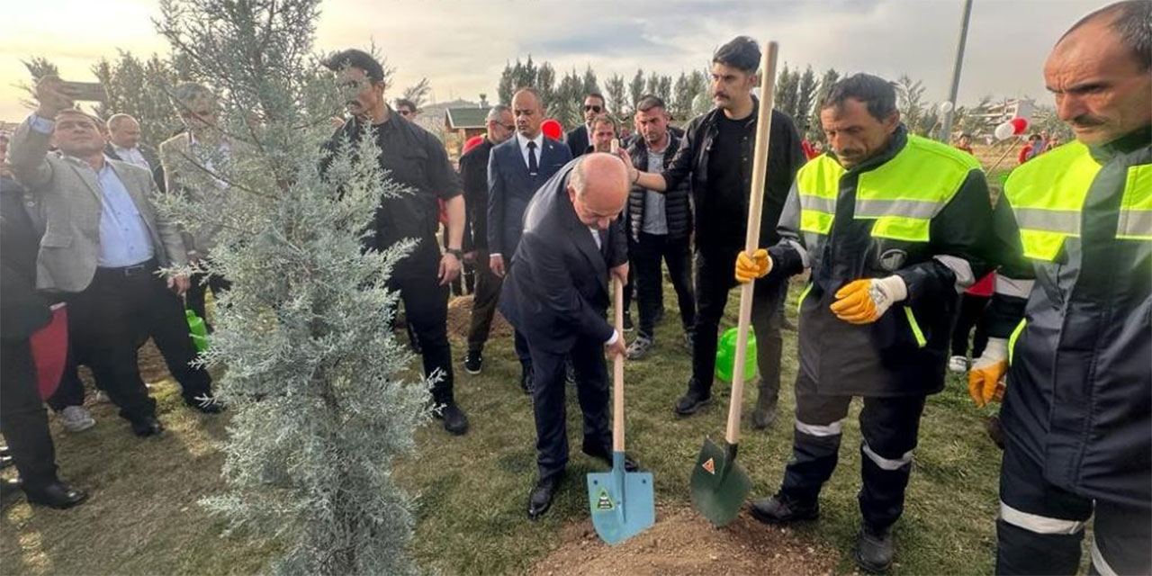 6 Şubat'ta hayatını kaybeden 49 Kıbrıs vatandaşı için fidan dikildi