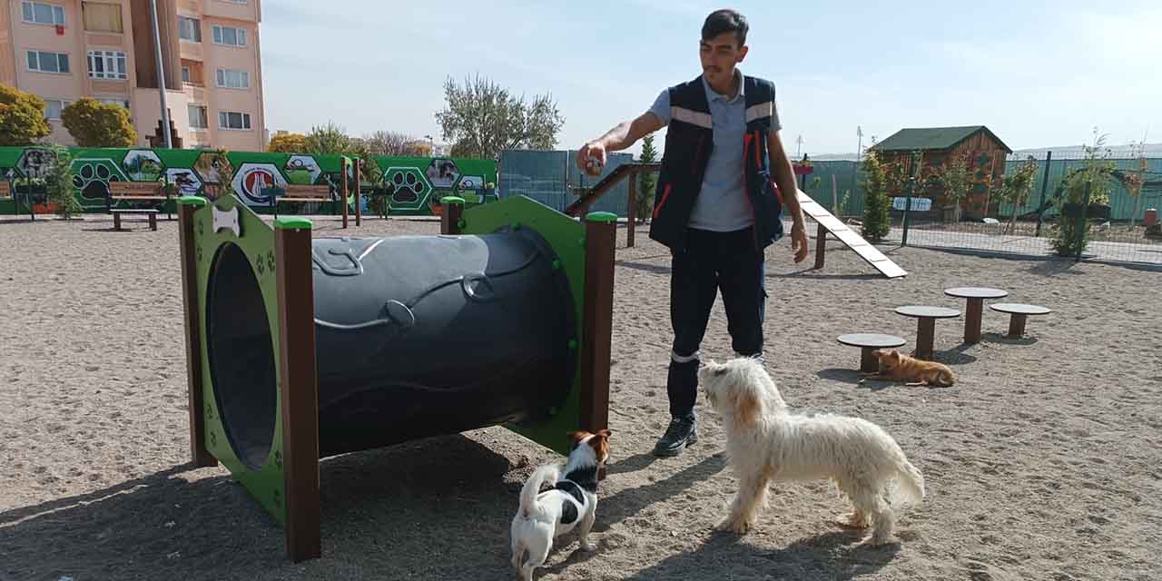 Sincan'da can dostlar için Pati Park