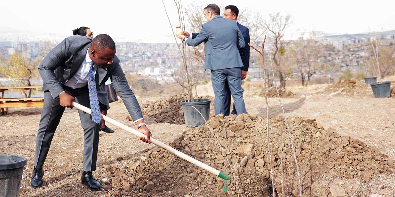 Büyükelçiler Başkent'i yeşillendirdi