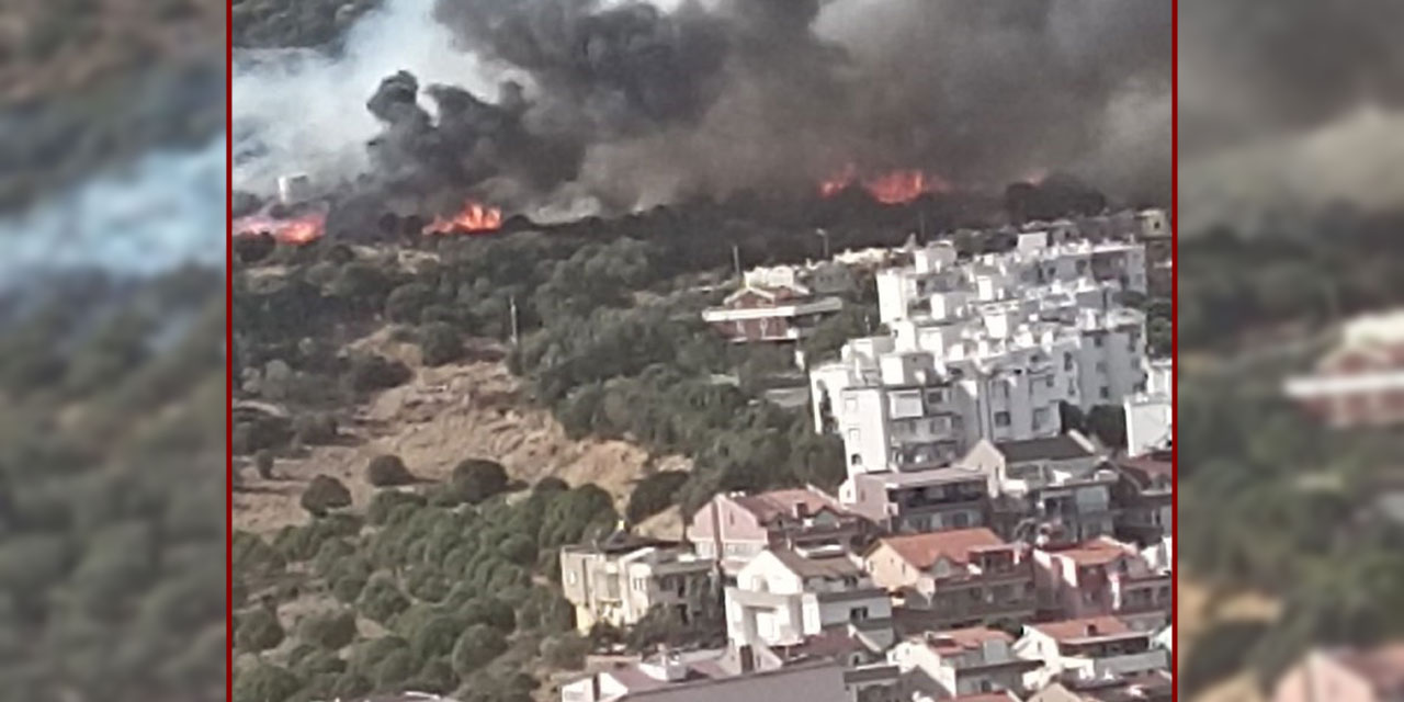 İzmir Dikili'de yerleşim yerine yakın alanda yangın!