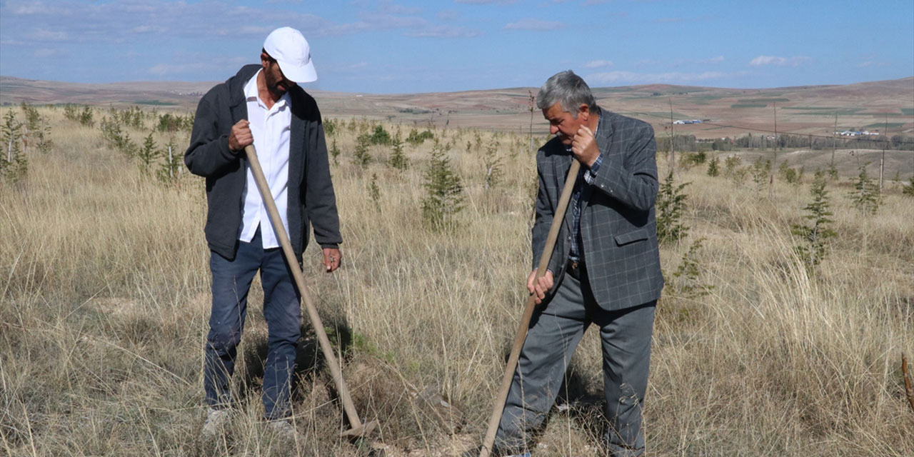 Yozgat'ın 'Oksijen Adamı' Türkiye'ye nefes oluyor