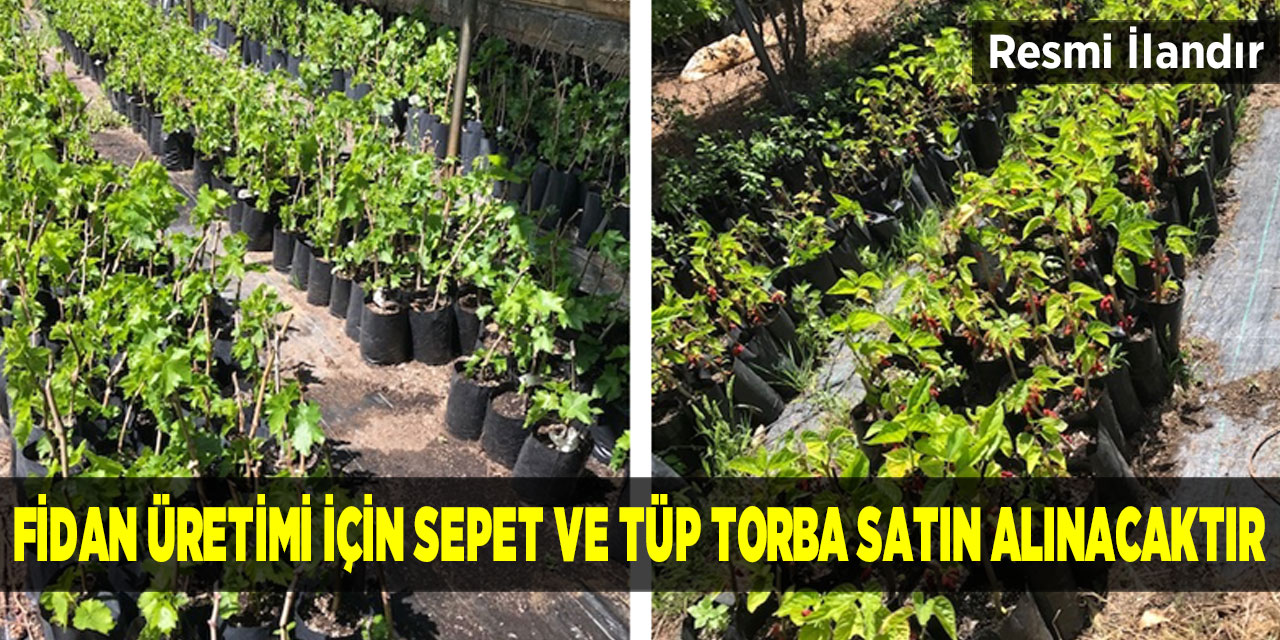 Fidan Üretimi İçin Sepet Ve Tüp Torba Satın Alınacaktır