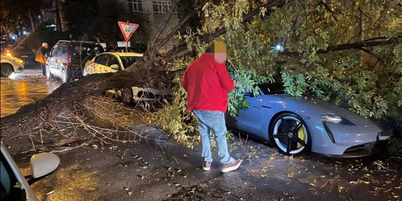 Ankara’da lüks aracın üstüne ağaç devrildi