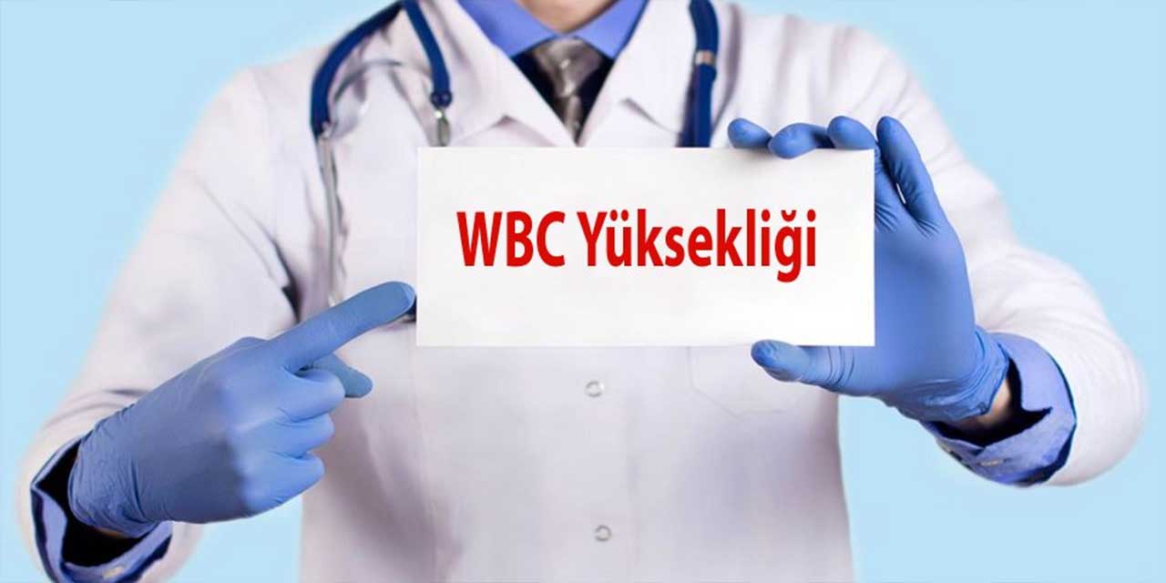 WBC yüksekliği nedir?