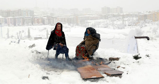 Ankara'nın göbeğinde çadır hayatı