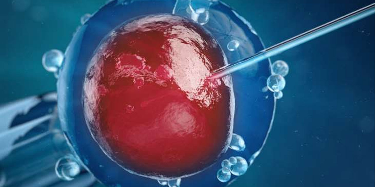 Üreme Yeteneği ve Fertilite Nedir?