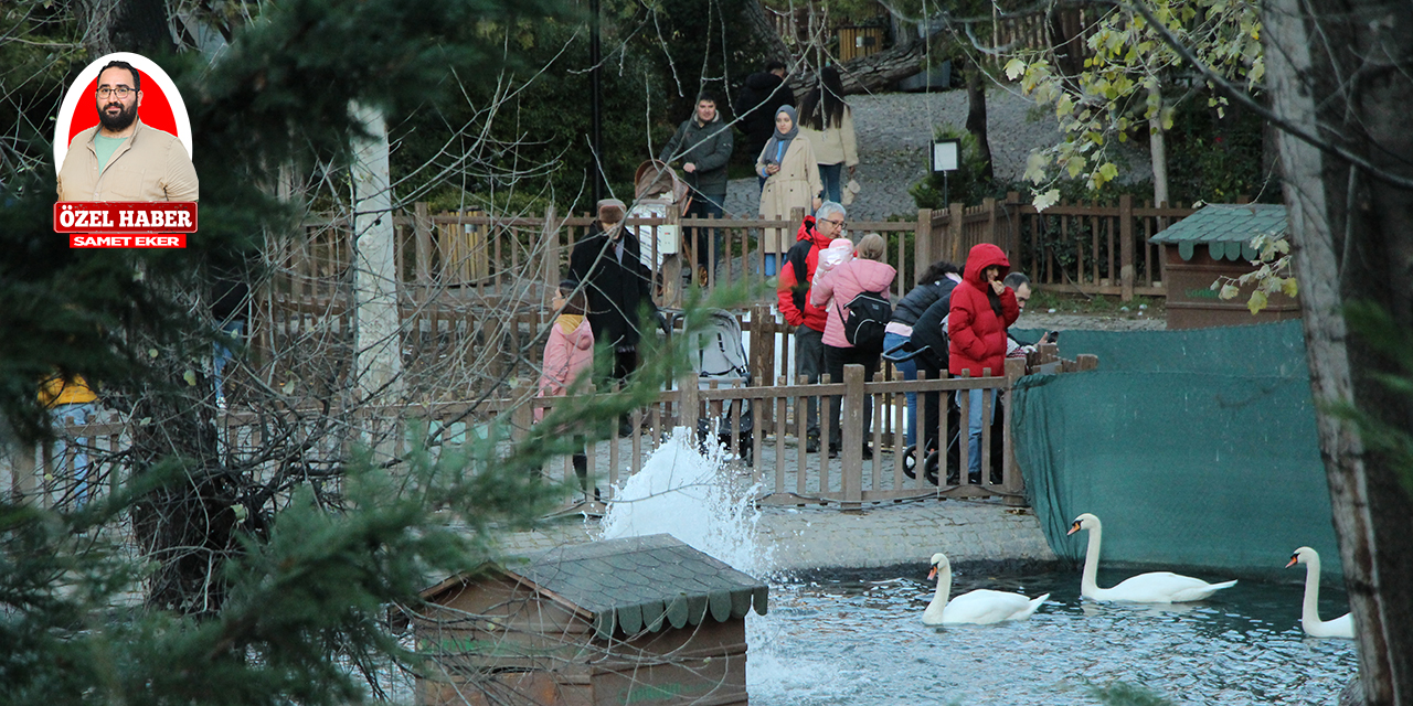 Ankaralılar soğuk havaya rağmen hafta sonunu Kuğulu Park’ta geçirdi