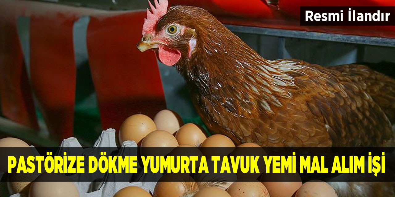 Pastörize Dökme Yumurta Tavuk Yemi Mal Alım İşi