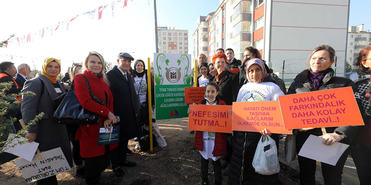 Yenimahalle Belediyesi'nden Yeşil Hareket: 250 fidan toprakla buluştu