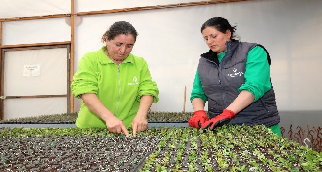 Çankaya’da 500 bin çiçek için hazırlıklar başladı