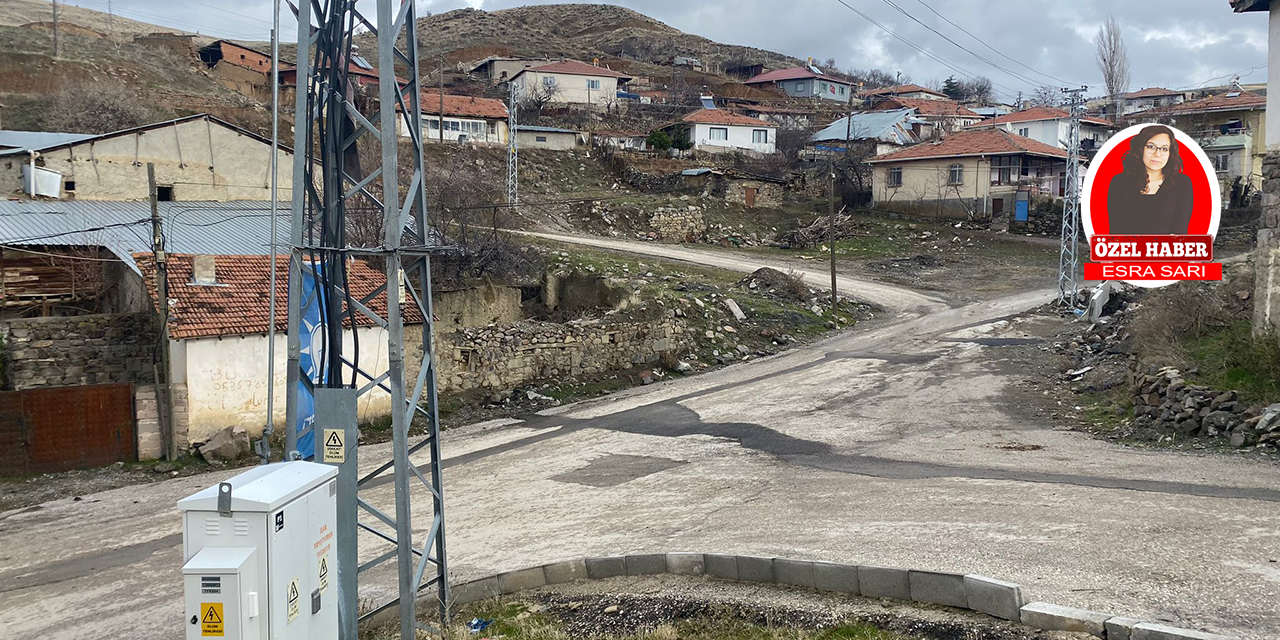 Yaylabağı Mahallesi'nde altyapı  ve başıboş köpek sorunu büyüyor!