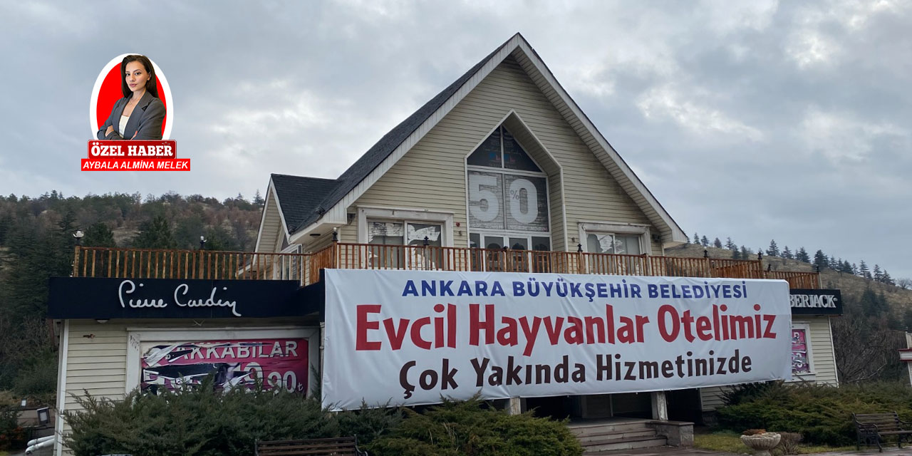 Ankara Büyükşehir Belediyesi’nden iki müjde! Sokak hayvanları için kısırlaştırma! Ankara’nın yeni evcil hayvan oteli!