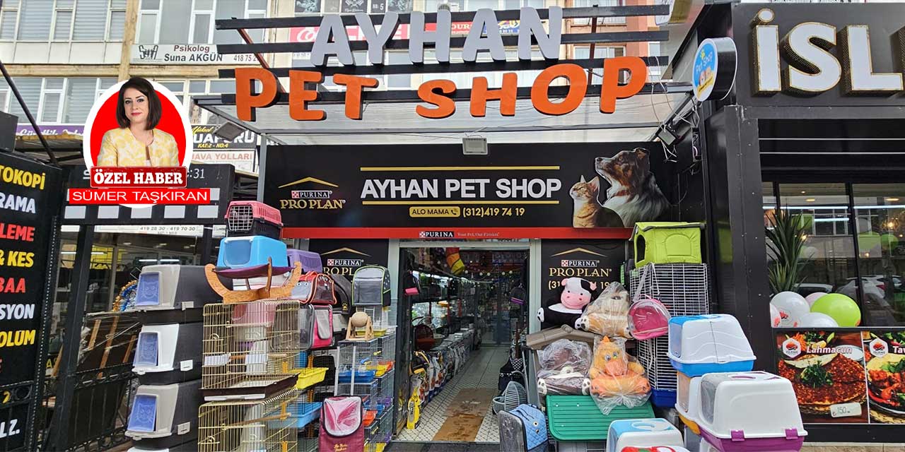 Pet Shopçular ekonomik zorlukla karşı karşıya