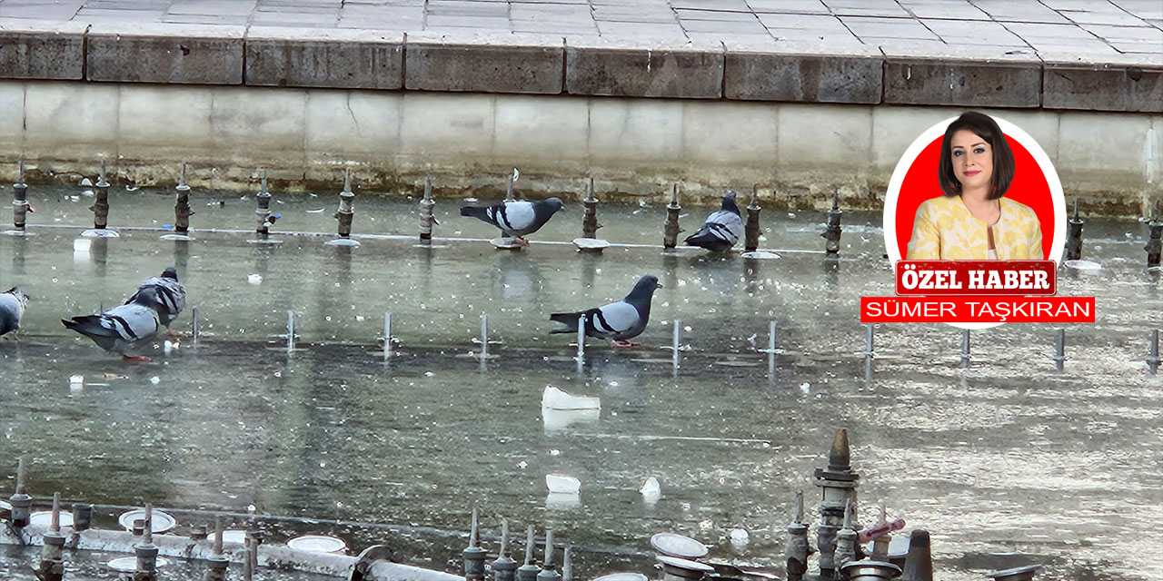 Güvercinler ve öğrenciler soğuk Ankara ayazının tadını çıkardı