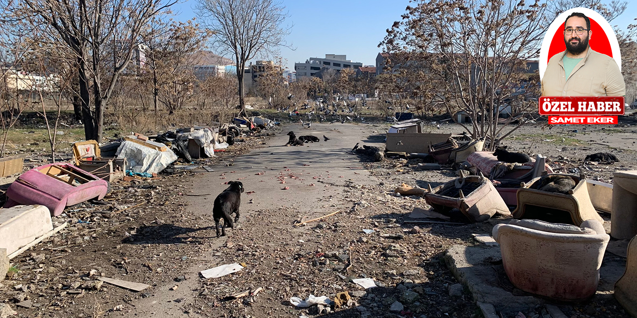 Ankara Altındağ İskitler Sanayi Sitesi çöplükten ve köpekten geçilmiyor…