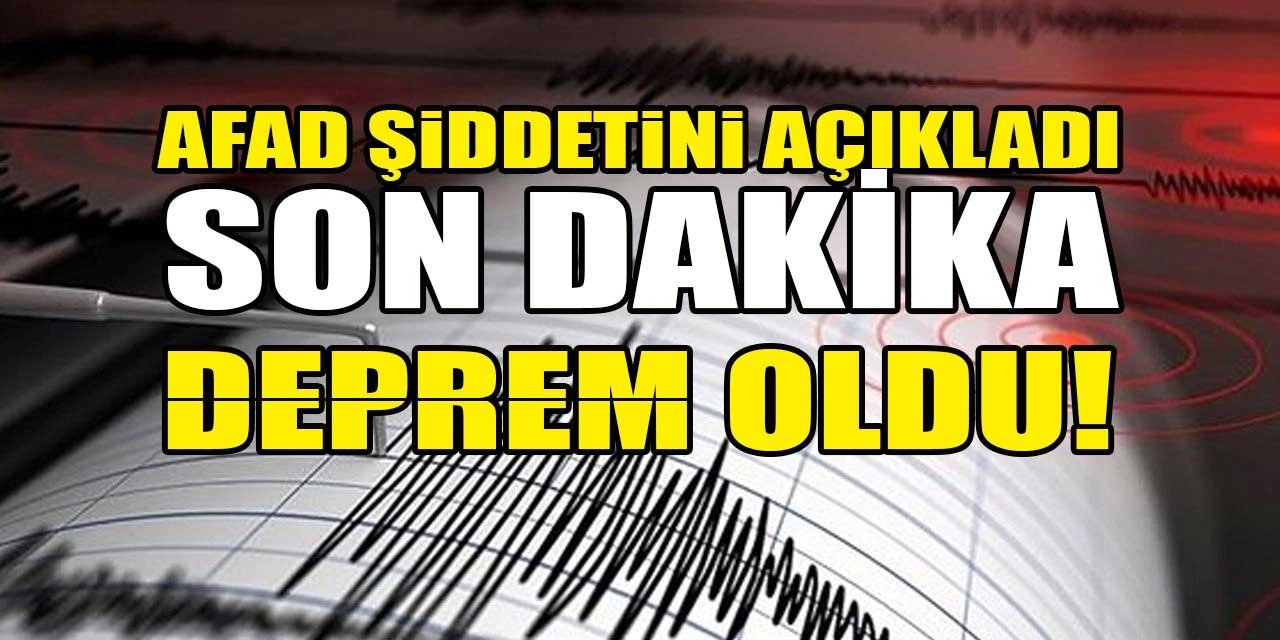 İzmir depremle sallandı!