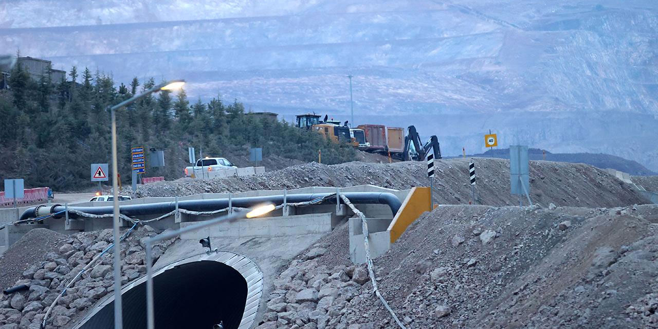 Erzincan'da biri Kanadalı 8 gözaltı