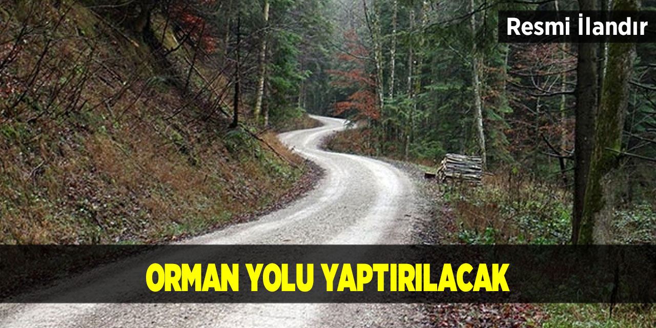 Orman yolu yaptırılacak