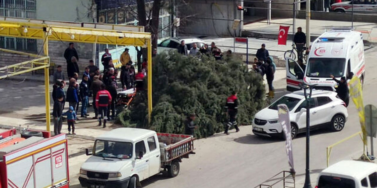 Saadet Partisi Adayı Adnan Ersan seçim çalışmalarını sürdürürken kafasına ağaç düştü