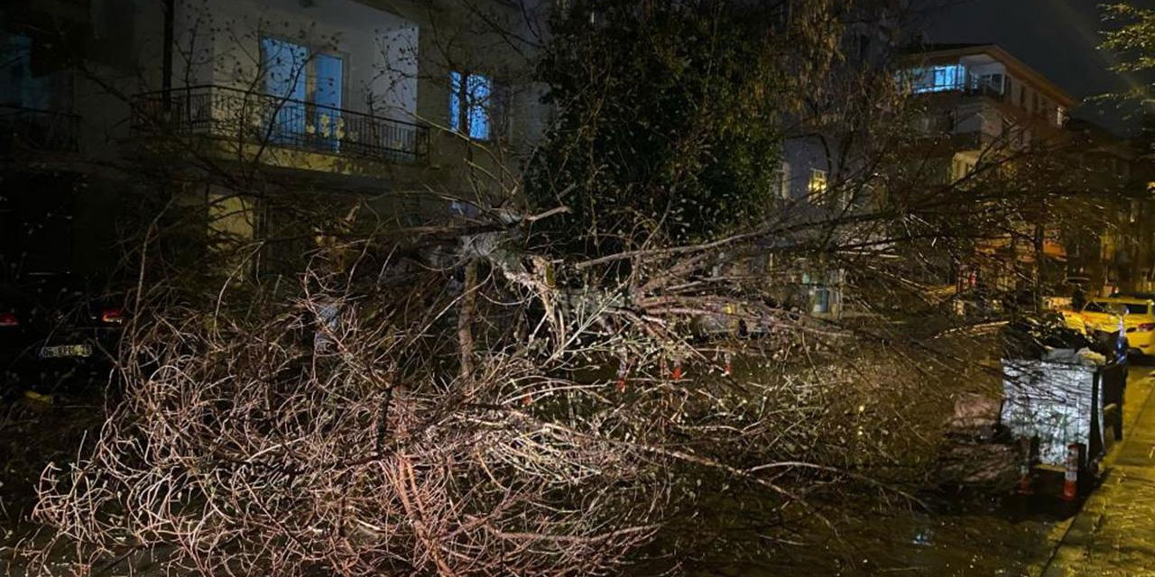 Ankara'da rüzgar etkisini gösterdi: Ağaç devrildi, yol trafiğe kapandı