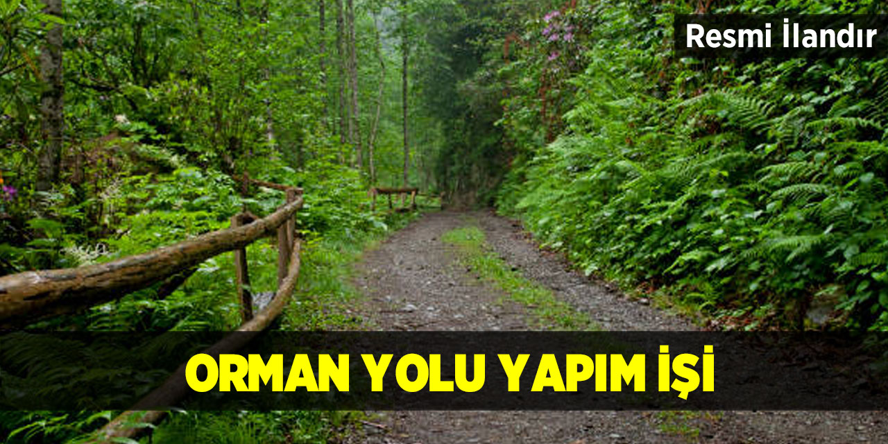 Orman yolu yapım işi