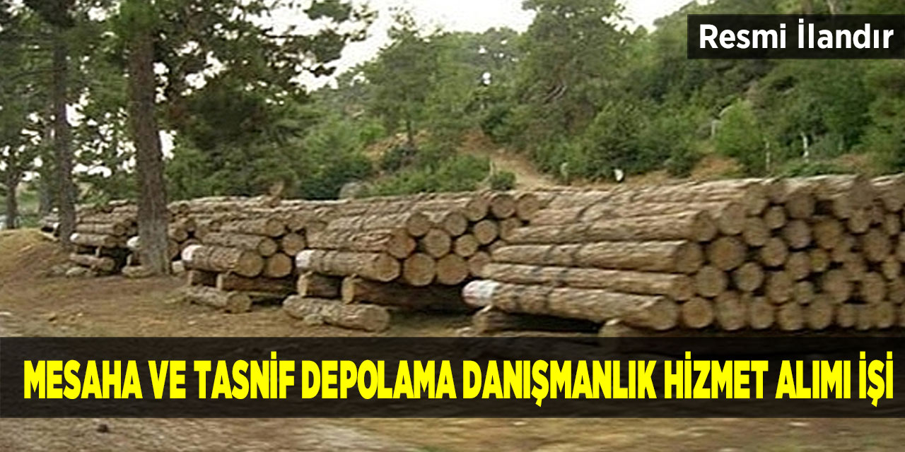 Mesaha ve Tasnif Depolama Danışmanlık Hizmet Alımı İşi