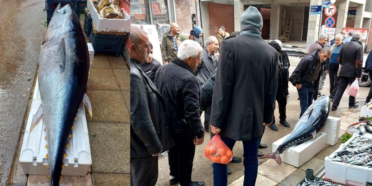 1 metre 74 santimetrelik balık vatandaşı şaşırttı