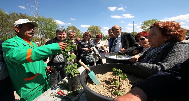 Bahçıvanlık kayıtları başlıyor