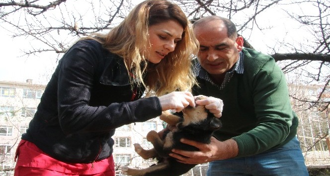 Aşılama ekibi sokaklarda