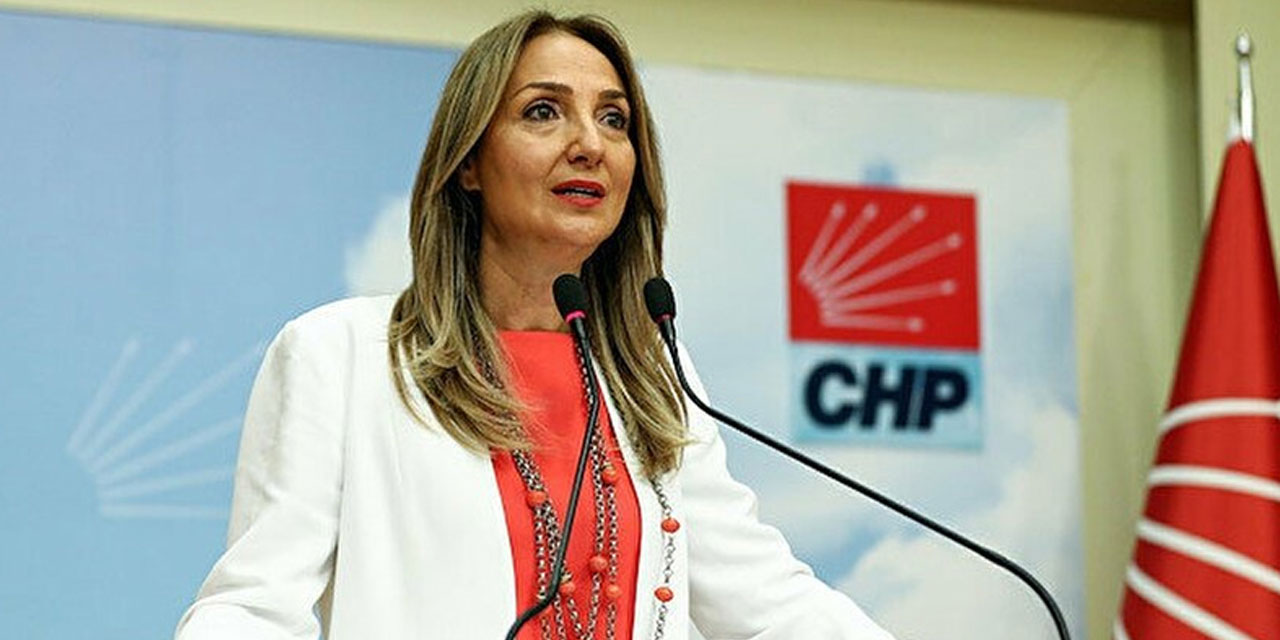 CHP Genel Başkan Yardımcısı Nazlıaka: Erken seçimi dillendirmek doğru değil