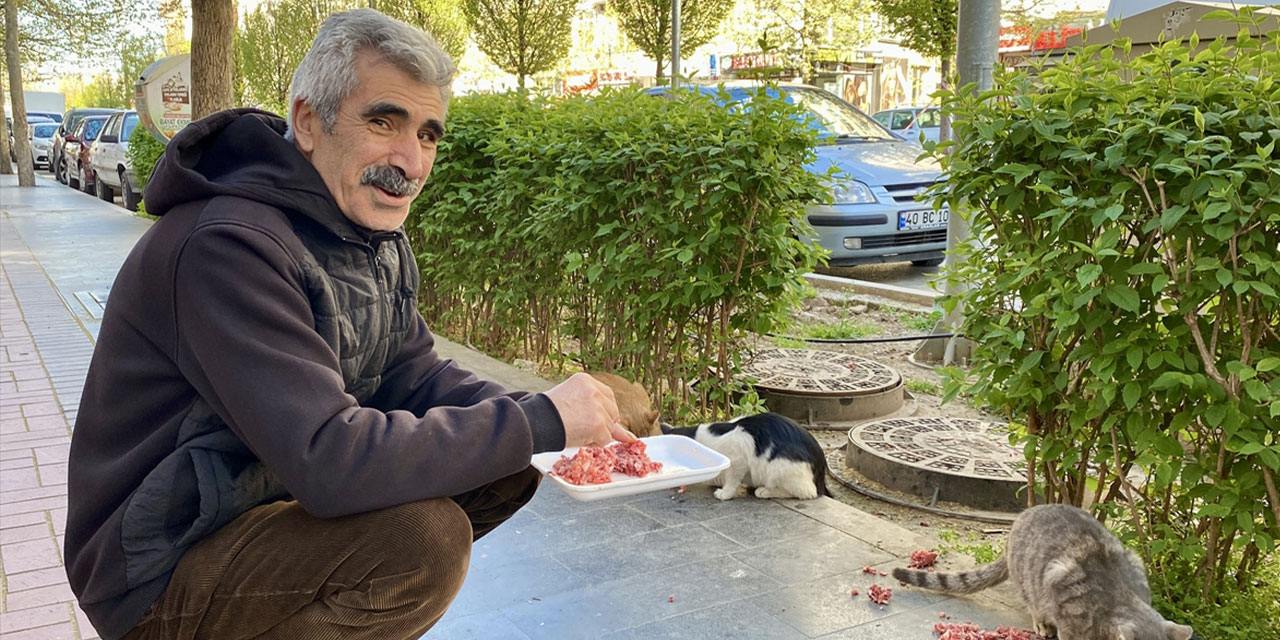 Kırşehir'de Kasap Davut Salman her gün 12 kediyi besliyor: "Mutlu ve huzurlu olmak istiyorsan hayvanlara bakacaksın"