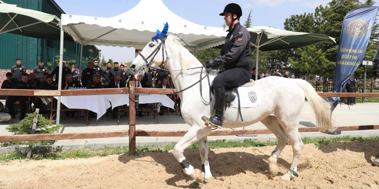 Ankara'nın yeni atlı polisleri görücüye çıktı!