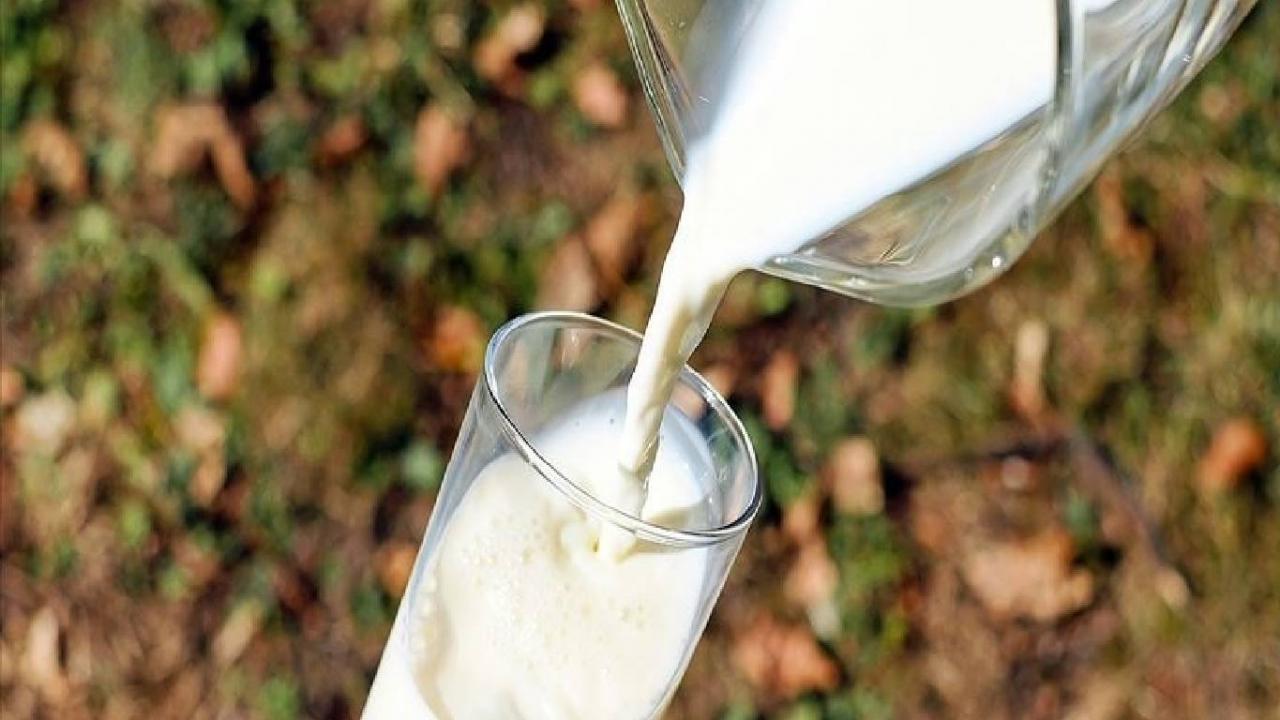 TÜİK açıkladı: Türkiye'de geçen yıl  21,5 milyon ton çiğ süt üretildi
