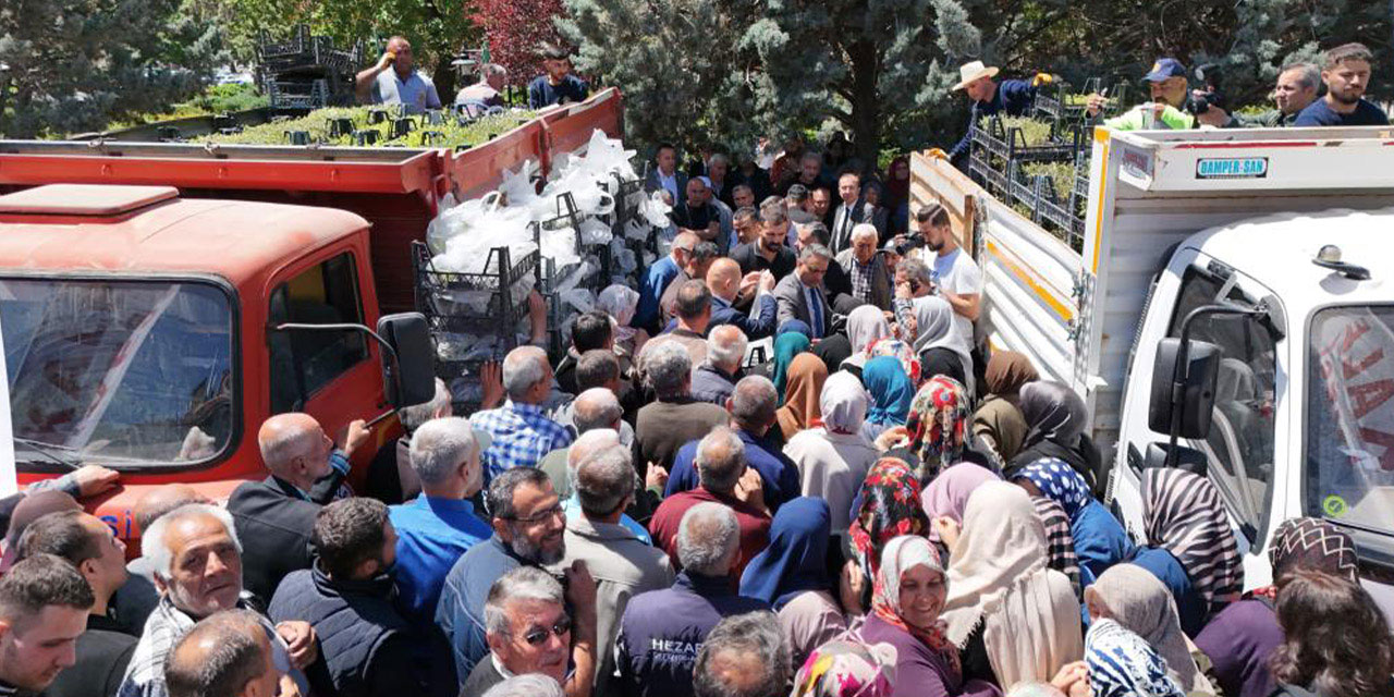 Kırıkkale Belediyesinden çiftçiye fide desteği