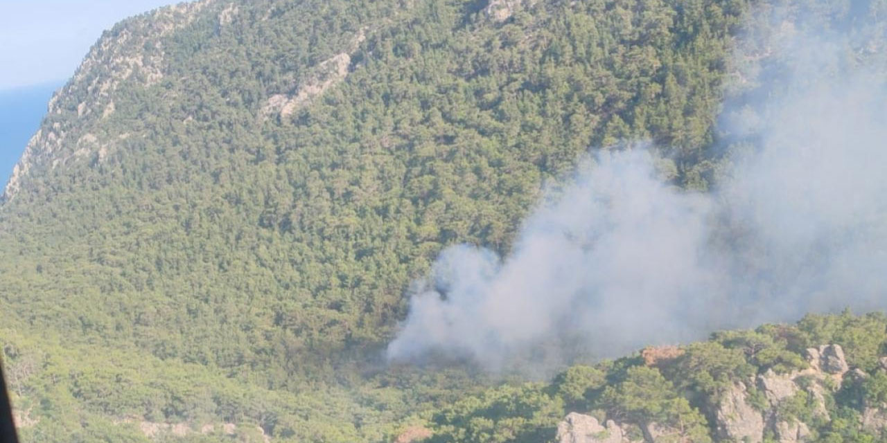 Antalya’da orman yangını çıktı