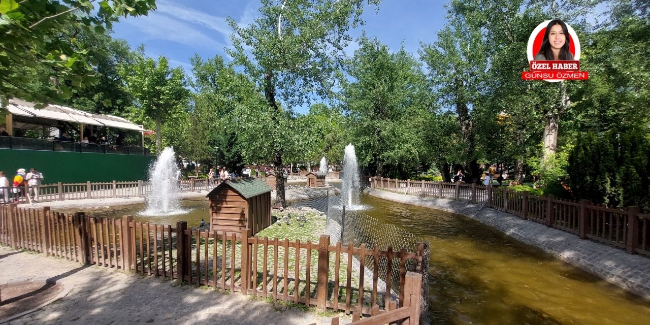 Kuğulu Park'ın ismi nereden geliyor? Ankara'ya ilk kuğu hangi ülkeden geldi?