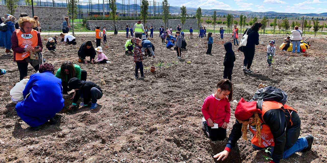 BAKAP'ta meşe fidanları toprakla buluştu!