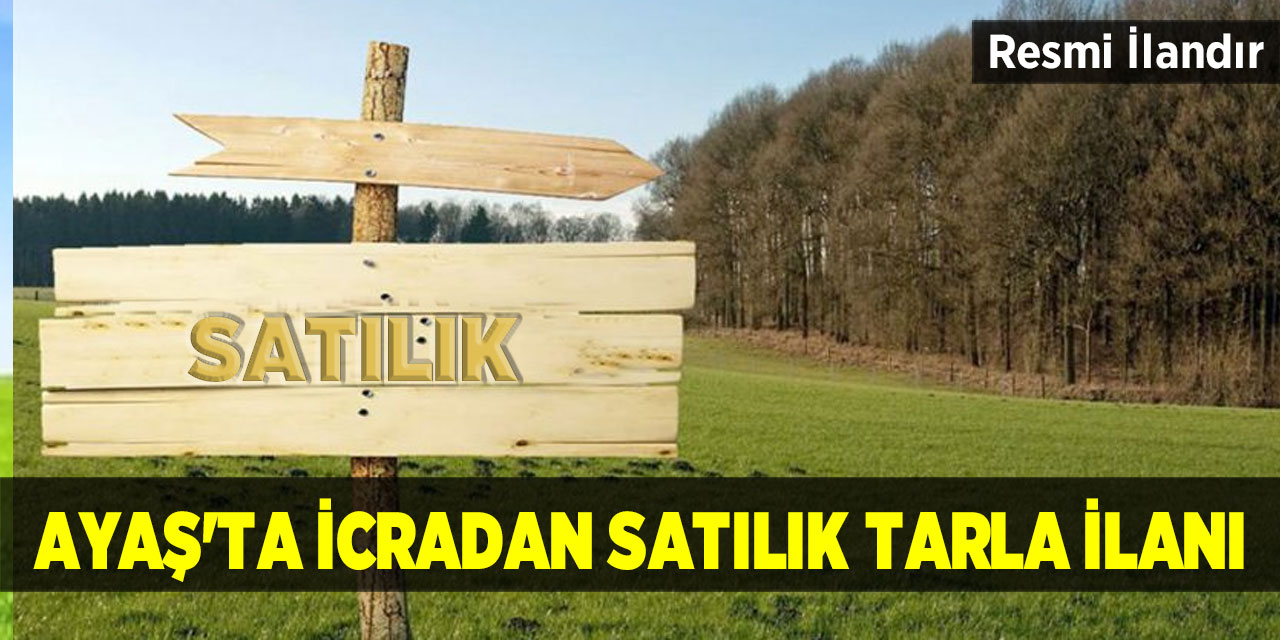 Ayaş'ta icradan satılık tarla ilanı