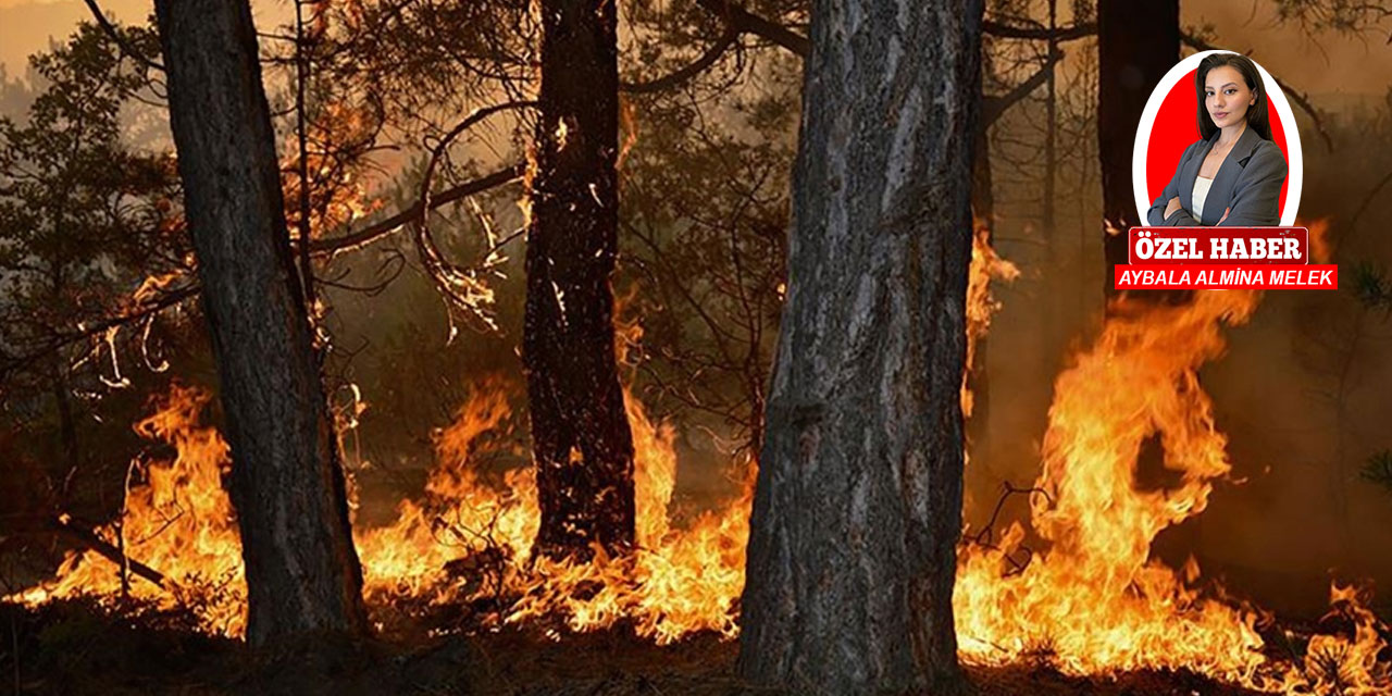 Yapay zekâ ile orman yangınlarına karşı 'akıllı' mücadele dönemi başlıyor